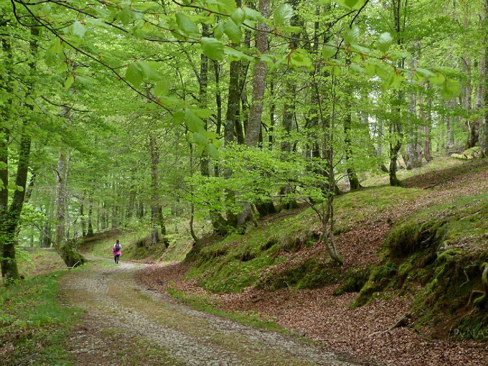 Asturias