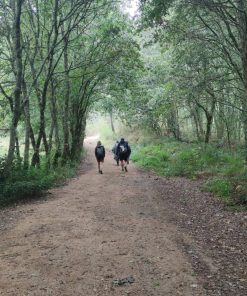 Reserva Camino de Santiago Francés en Agosto