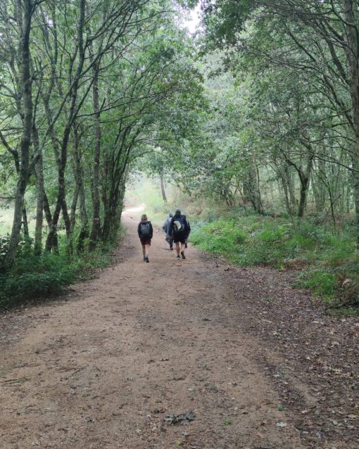 Reserva Camino de Santiago Francés en Agosto