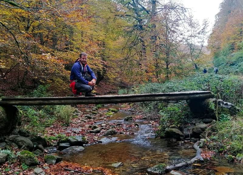 selva de irati