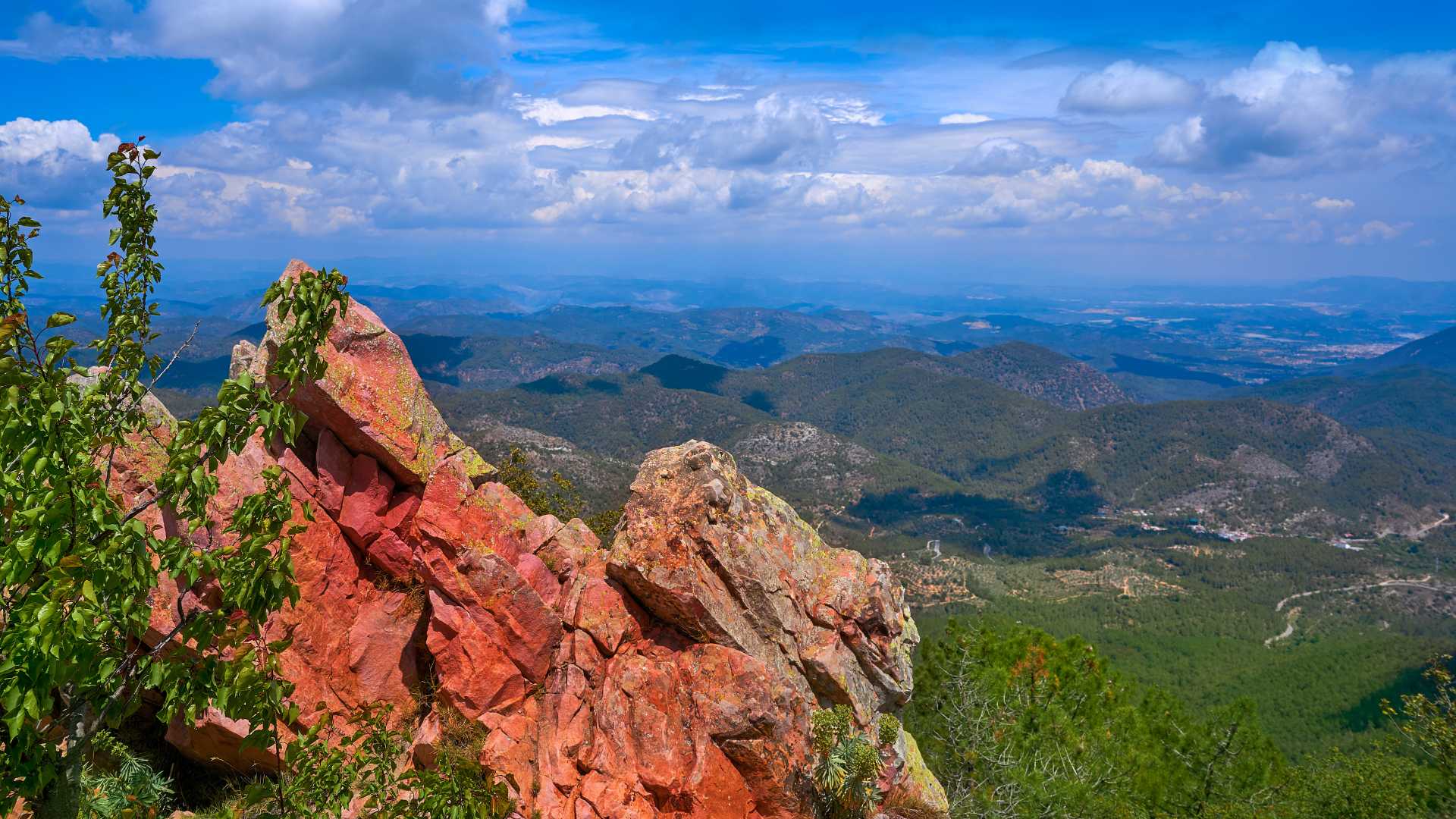RUTA DE SENDERISMO ALFONDEGUILLA