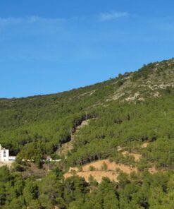 RESERVA ASCENSO PICO EL REMEDIO