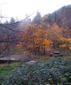 CALDE-RUTA BUÑOL