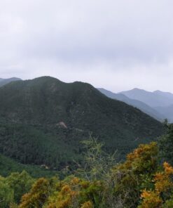 RUTA DE SENDERISMO EN ARTANA