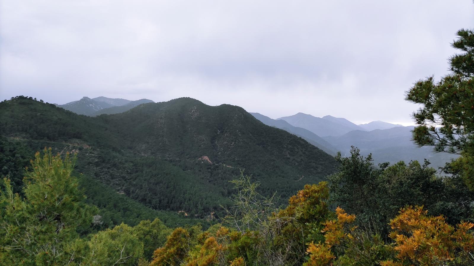 RUTA DE SENDERISMO EN ARTANA