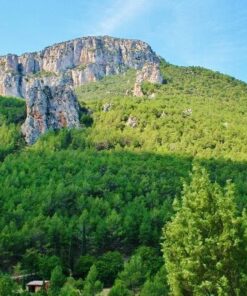 ASCENSO AL PICO PEÑAESCABIA