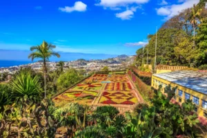 Viaje a la isla de Madeira