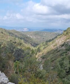 Ruta de Senderismo Serra Quatretonda