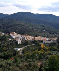 Senderismo Monte Elvira desde Higueras