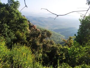 ruta senderismo puntal de artana