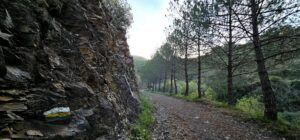 senderismo monte elvira desde higueras