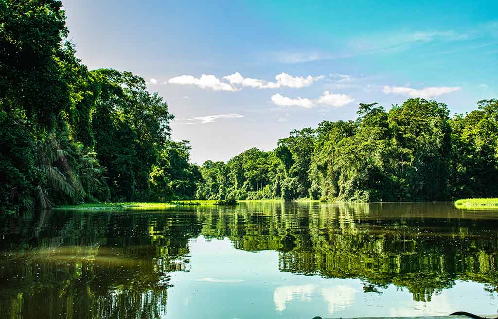 Canal de Tortuguero rodeado de bosque tropical
