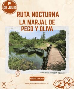 Ruta nocturna marjal Pego-Oliva
