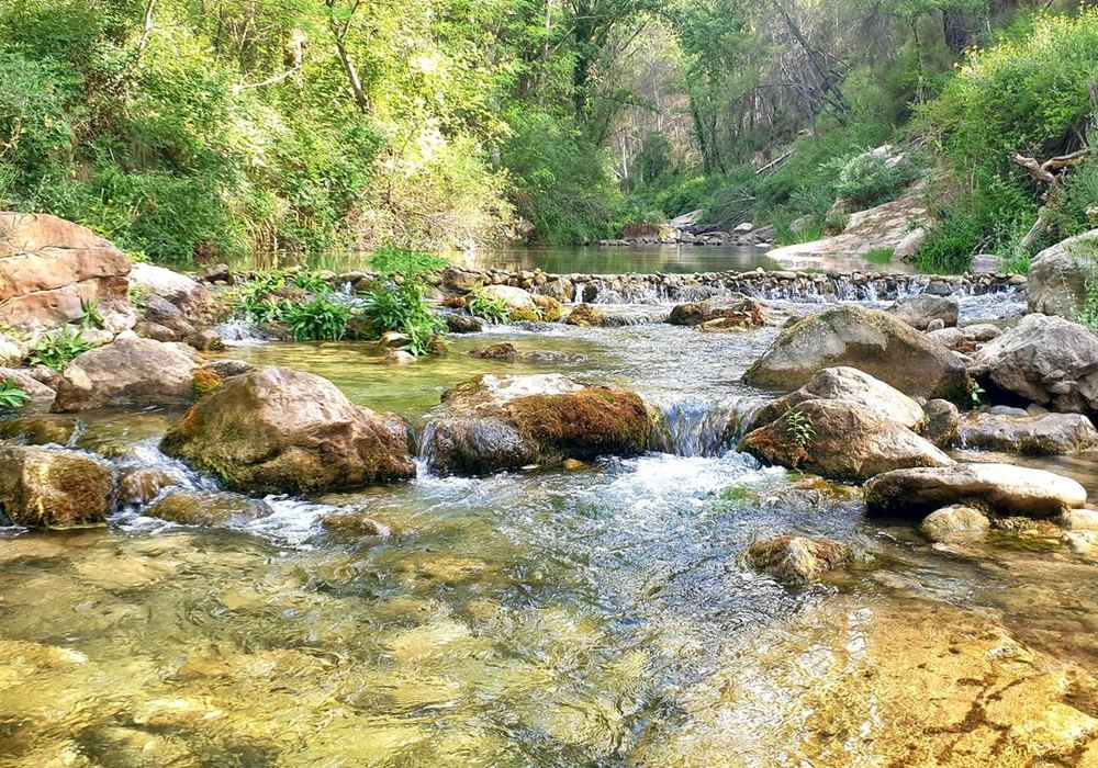 Agua entre piedras y vegetación en el río Villahermosa