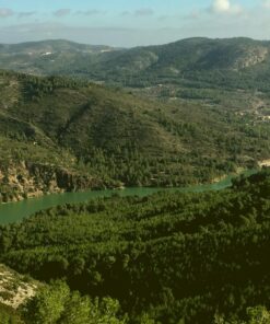 Ruta Senderismo Embalse de l'Alcora