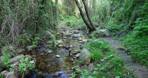 senderismo alpuente mayo SENDERISMO ALCUDIA DE VEO