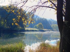 Viaje al Parque Natural del Alto Tajo en el Puente de Octubre