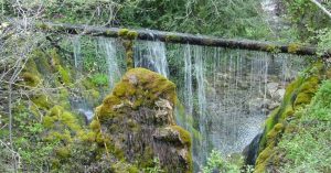 Viaje al Parque Natural del Alto Tajo en el Puente de Octubre