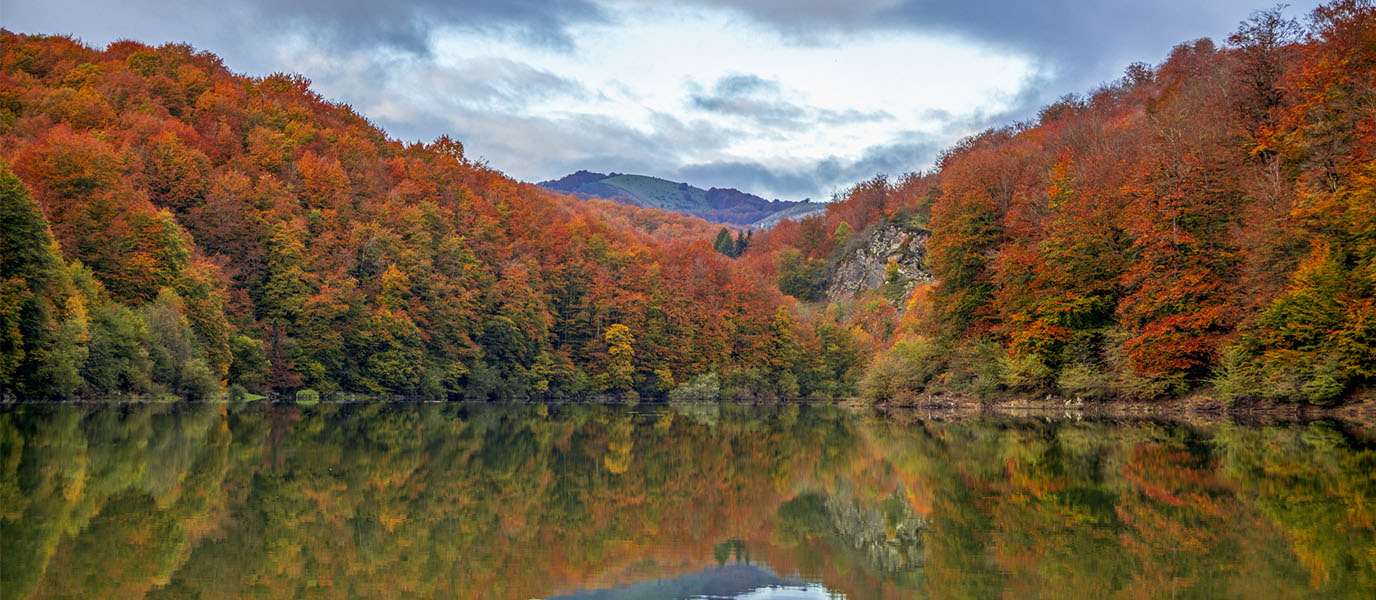 Bosque otoñal reflejado en el agua en la Selva de Irati