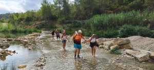 RUTA DE SENDERISMO RÍOS DE ABAJO