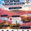 ESCAPADA FLORACIÓN MELOCOTÓN