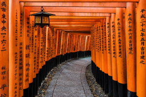 Pasillo de torii anaranjados en Fushimi Inari