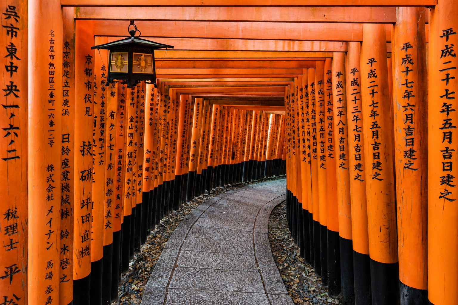 Japón 2027: De los Templos de Kioto al Tokio del Futuro