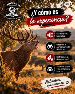 cómo escuchar la berrea sin molestar