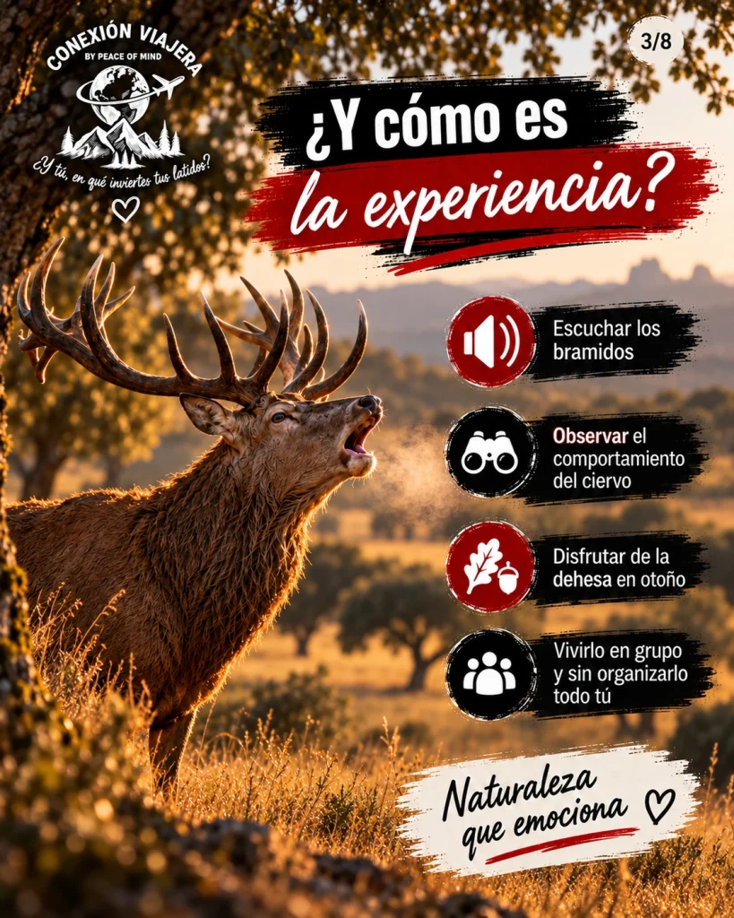 Experiencia de la berrea del ciervo en un entorno natural